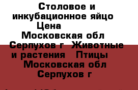 Столовое и инкубационное яйцо › Цена ­ 50-10 - Московская обл., Серпухов г. Животные и растения » Птицы   . Московская обл.,Серпухов г.